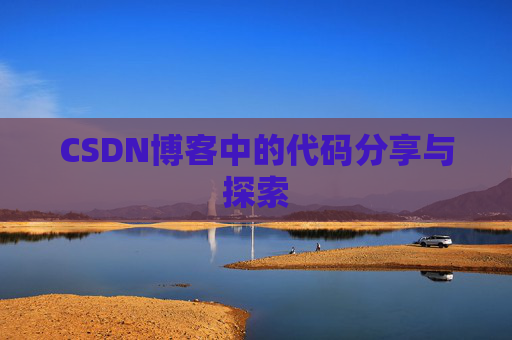 CSDN博客中的代码分享与探索